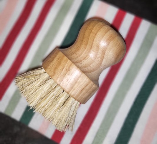 Scrub Brush (for dishes)